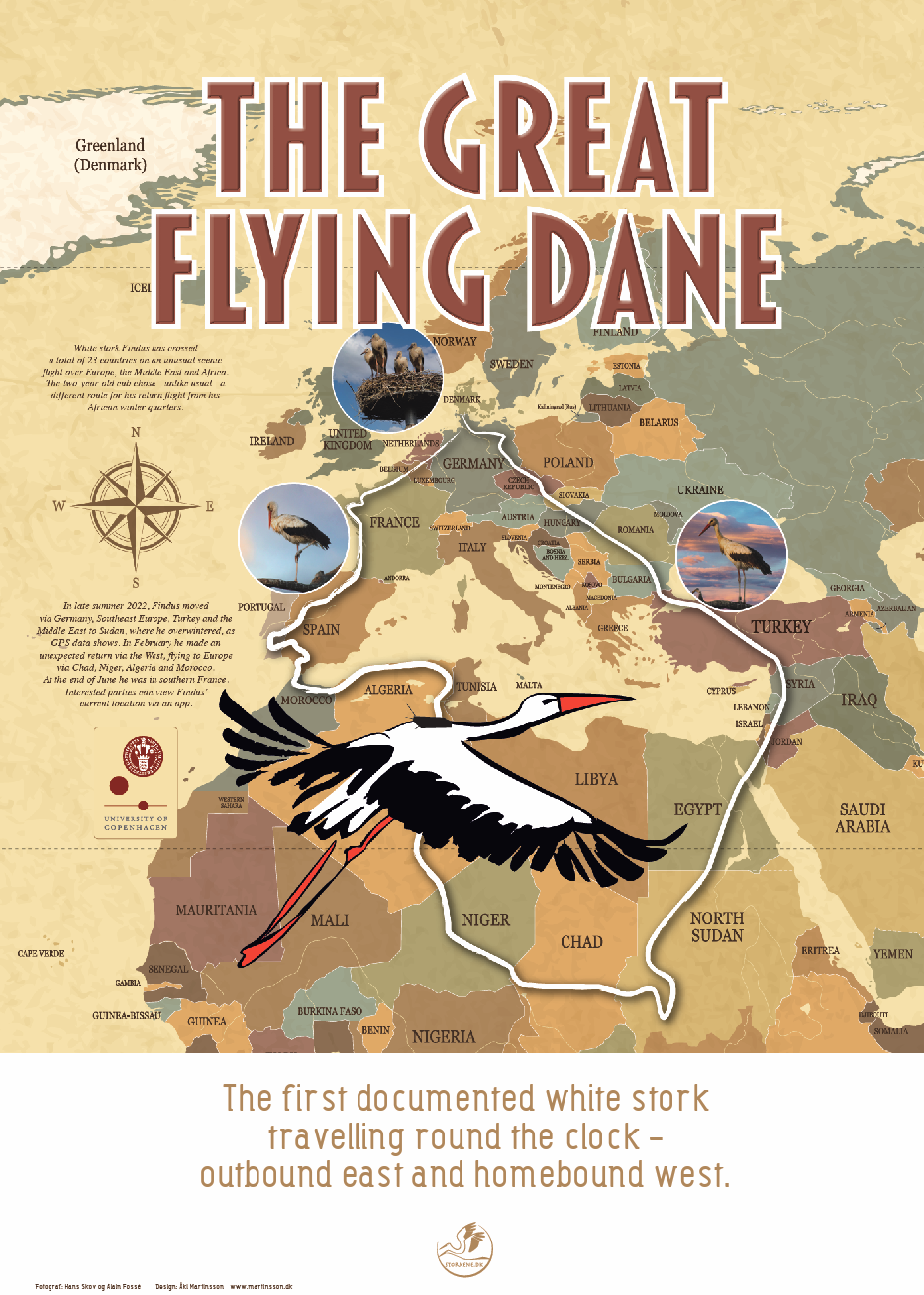 Findus poster - The Great Flying Dane