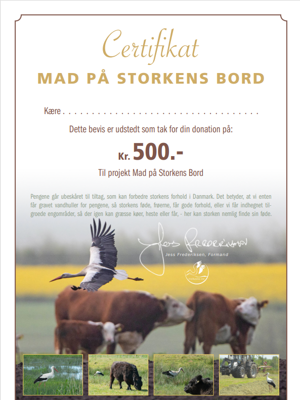Donationsbevis - Støt en Stork