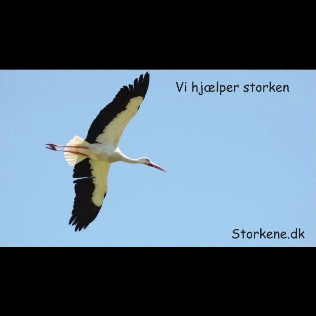 Køleskabsmagnet med storkemotiv