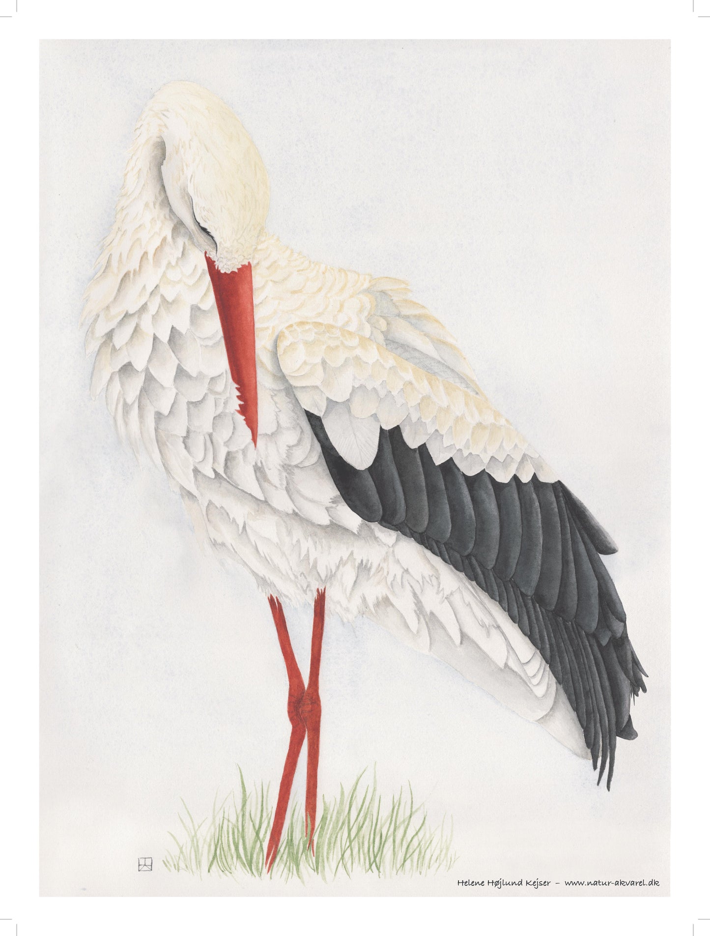 Akvarel med stork