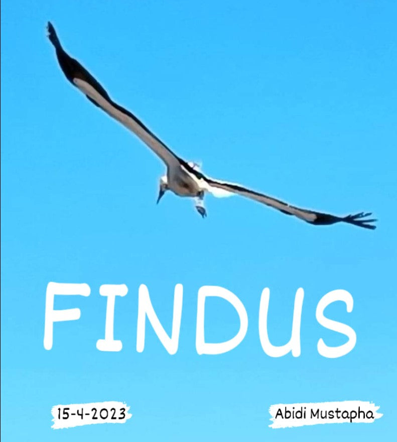 Findus poster - The Great Flying Dane