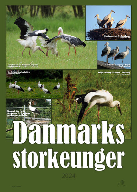 Plakat med Danmarks storkeunger 2024