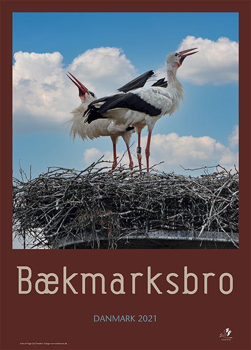Årsplakat - Bækmarksbro 2021