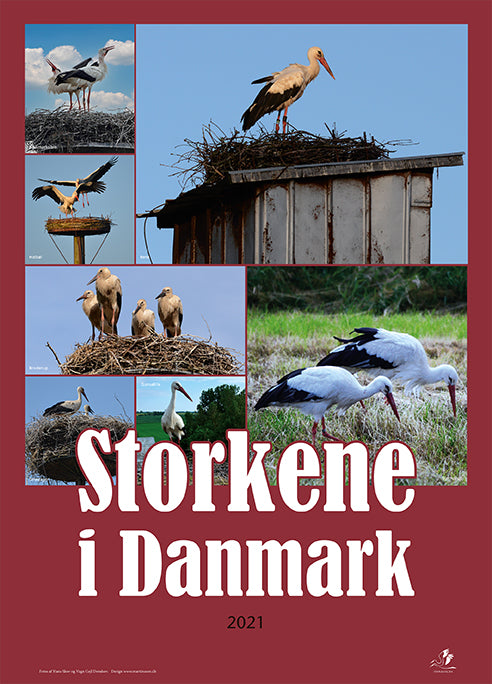 Køb medlemskab af Storkene.dk